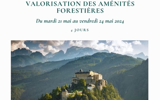Voyage du Comité des Forêts 2024 : Autriche