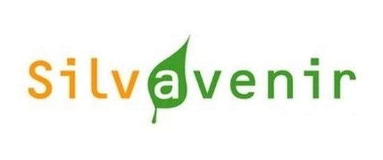 Silvavenir : Expert Arboricole en Ile-de-France et à Nantes